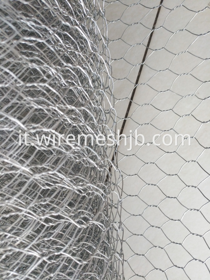 Hexagonal Mesh Fence